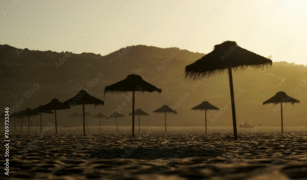 sun shining down on the beach with many umbrellas and trees in background sun shining down on the beach with many umbrellas and trees in background