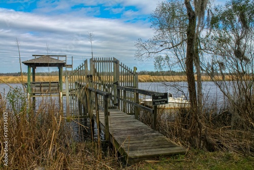Wooden dock over a lake surrounded by trees under a blue cloudy sky © Wirestock