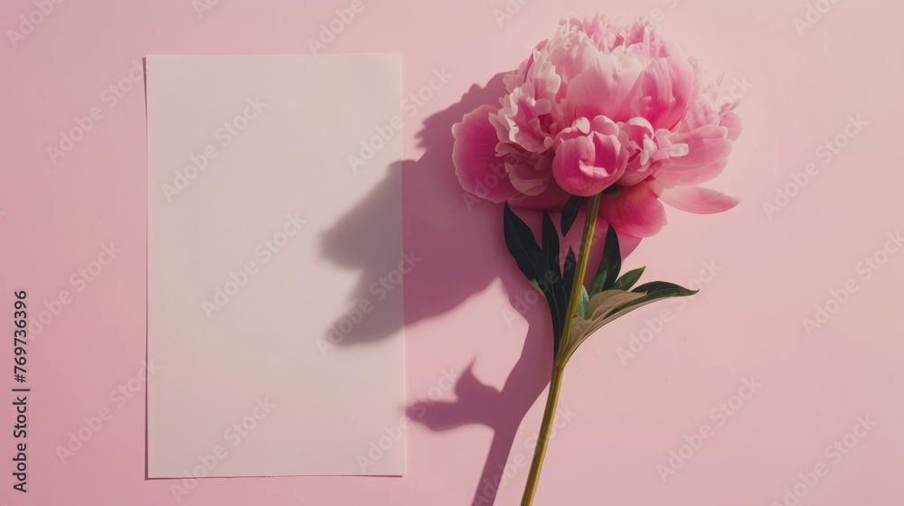 Mockup white paper and peonies flowers Mockup white paper and peonies flowers