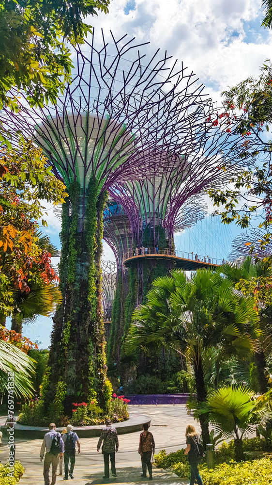 SuperTree Groove In Gardens By The Bay, Singapore Stock Photo | Adobe Stock