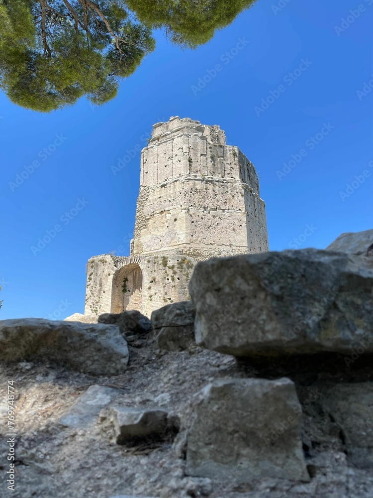 a tree sits in front of an old tower that has been built into the ground