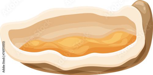 Ingredient oysters icon cartoon vector. Menu conch. Clam dinner meal