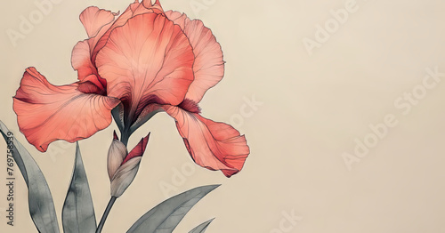 Panoramic illustration with beautiful spring iris.