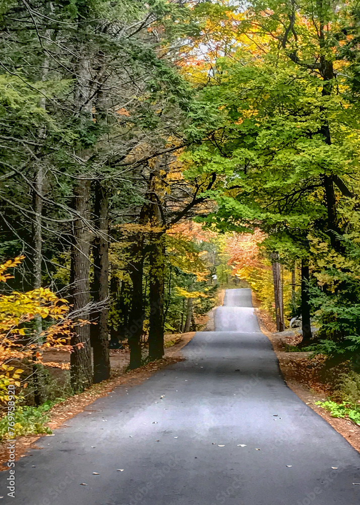 Black top road over hills lined by autumn colored trees Black top road over hills lined by autumn colored trees