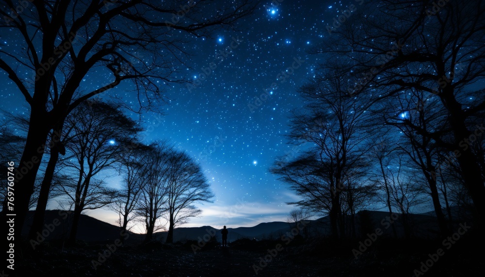 A man stands in a moonlit forest, surrounded by tall trees and a blanket of stars, and photographs the landscape with a camera A man stands in a moonlit forest, surrounded by tall trees and a blanket of stars, and photographs the landscape with a camera
