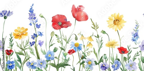 Meadow with bright wildflowers seamless pattern. Watercolor botanical print of blooming poppies, daisies and lupins. Ideal for textiles, wallpaper or fashion. Artistic botanical illustration