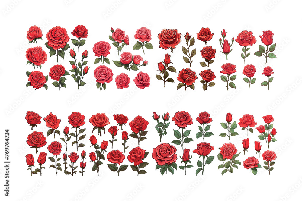 Set of flowers collection Set of flowers collection