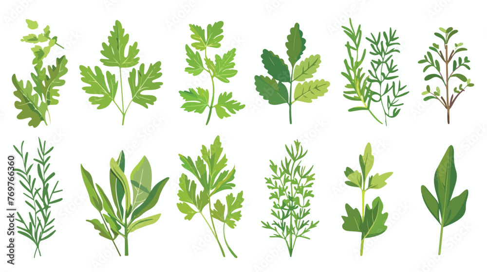 Aromatic Herbs with Parsley and Rosemary for Flavor - obrazy, fototapety, plakaty 