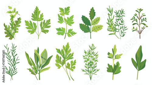 Aromatic Herbs with Parsley and Rosemary for Flavor