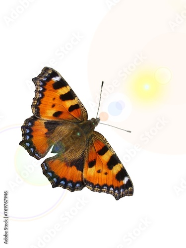 Butterfly Small tortoiseshell, Aglais urticae - abstract composition with open colorful wings, light and lens reflection effect and white background. Topics: beauty of nature, computer art © Joanna Potok