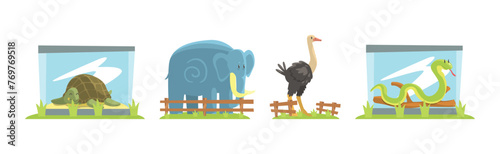 Zoo Animal and Wild Fauna Behind Fence Vector Set