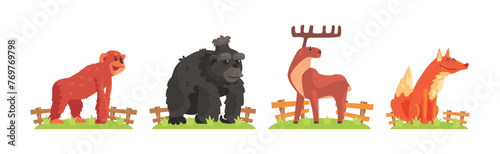 Zoo Animal and Wild Fauna Behind Fence Vector Set