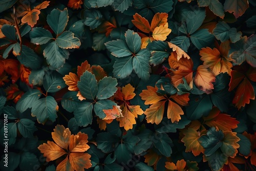 a bunch of leaves that are on the ground, autumn