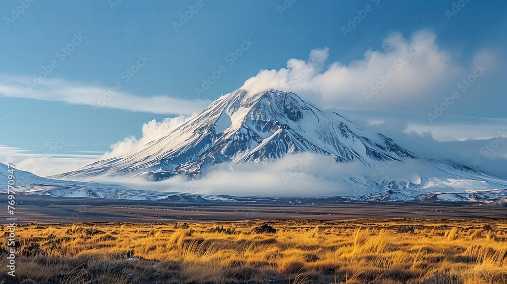 Yellow field and Volcano peaks covered with snow.