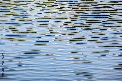 The water is calm and still, with ripples forming on the surface