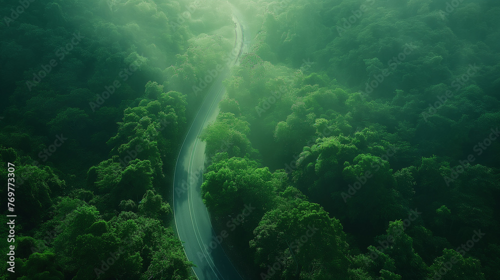 A winding road in a green forest. A winding road in a green forest.