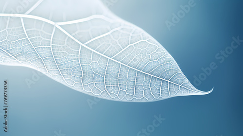 minimalist abstract leaves