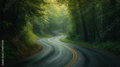 A winding road in a green forest.