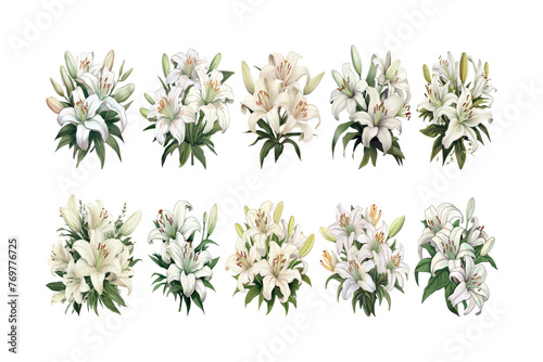 Set of white lily tropical flowers collection