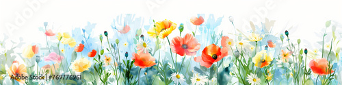 Vibrant panoramic illustration of assorted poppies in full bloom, Panoramic banner © MAJGraphics