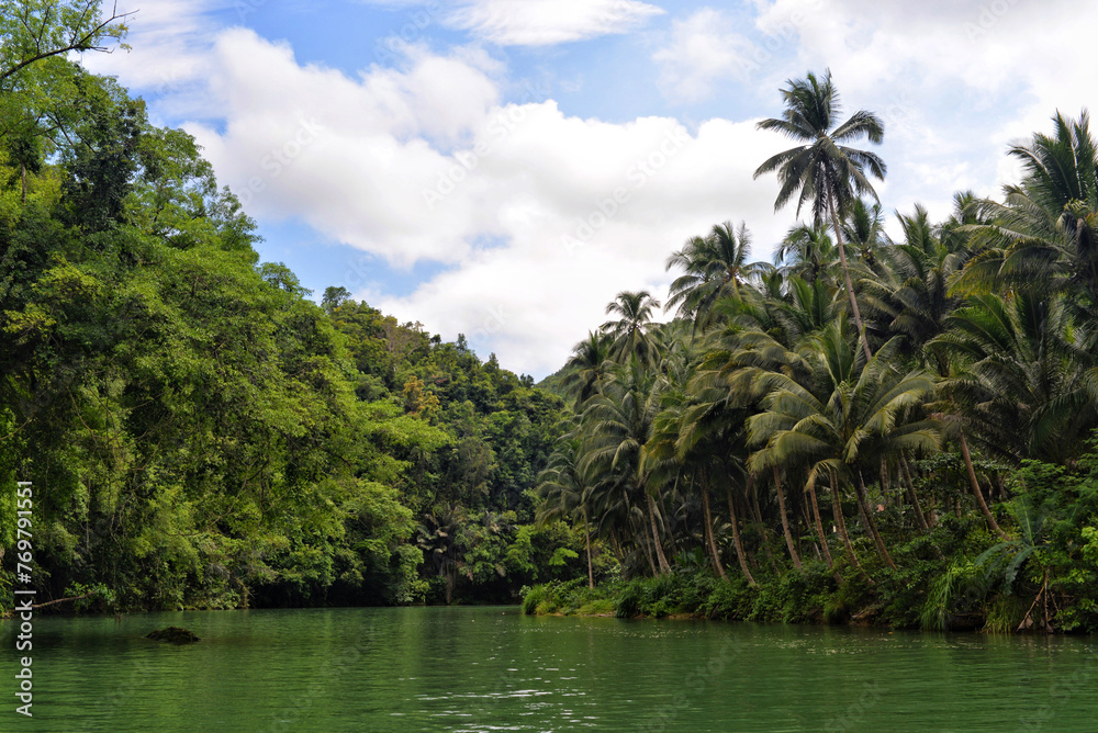 Mangrove forest in Philippine Sabang, Puerto Princessa