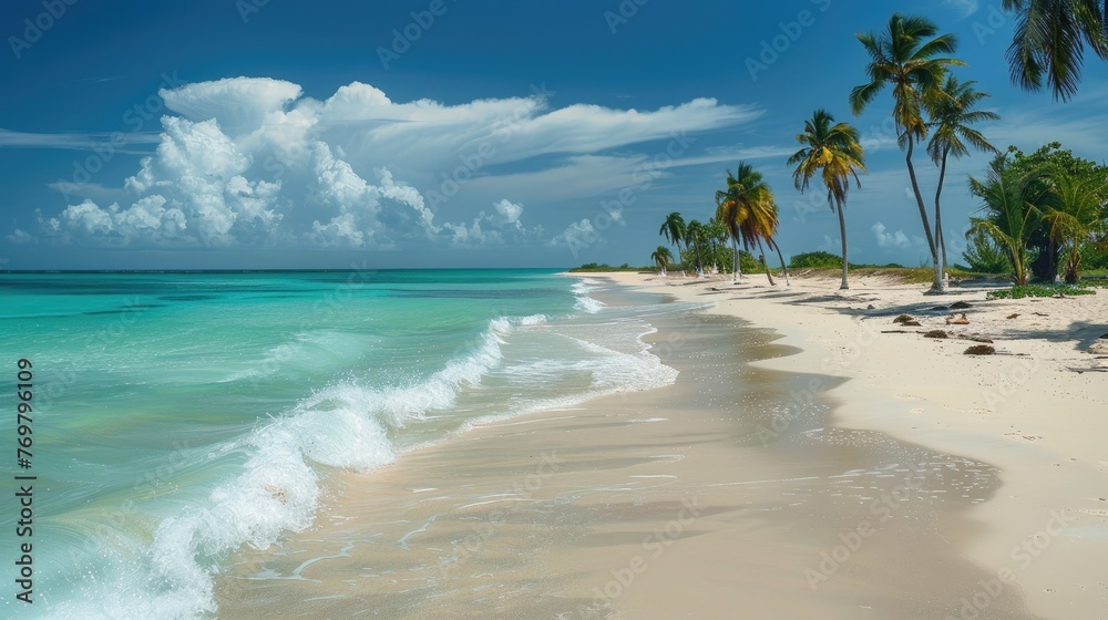 Beautiful palm tree on empty tropical island beach on background blue sky with white clouds and turquoise ocean on a sunny day. The perfect natural landscape for summer vacation, panorama. Beautiful palm tree on empty tropical island beach on background blue sky with white clouds and turquoise ocean on a sunny day. The perfect natural landscape for summer vacation, panorama.