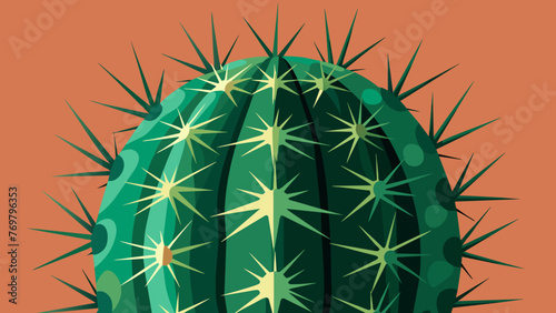  A closeup of the intricate patterns and textures of a cactus plant is a reminder that even the most unlikely plants have powerful healing