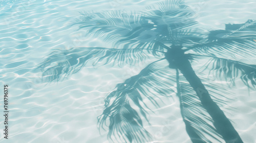 Shadow of a palm tree on a shimmering turquoise pool