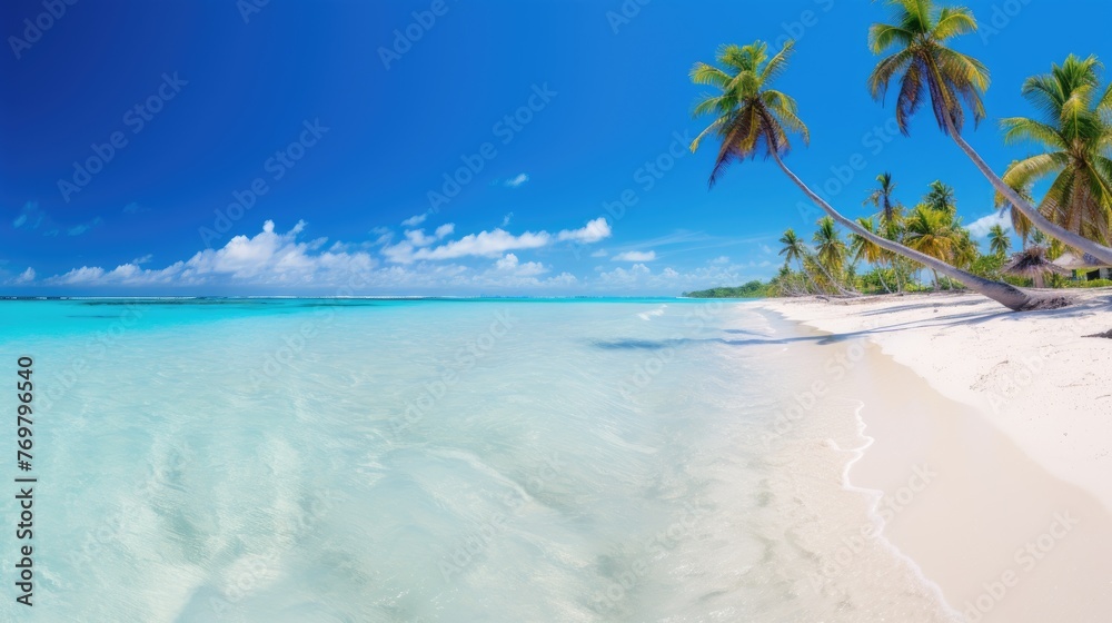 Fototapeta premium Beautiful palm tree on empty tropical island beach on background blue sky with white clouds and turquoise ocean on a sunny day. The perfect natural landscape for summer vacation, panorama.