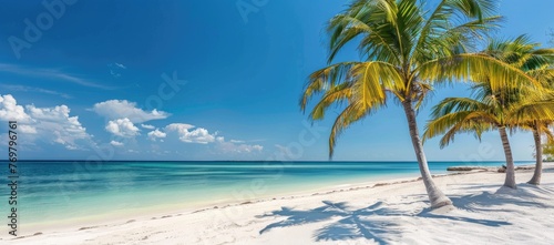 Beautiful palm tree on empty tropical island beach on background blue sky with white clouds and turquoise ocean on a sunny day. The perfect natural landscape for summer vacation  panorama.