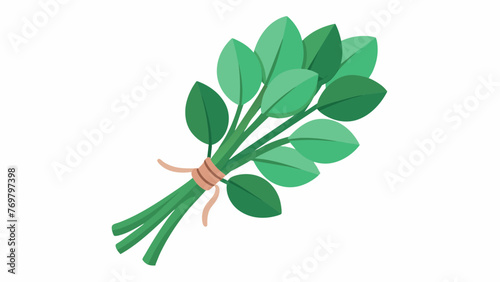  A bundle of fresh eucalyptus leaves and stems ready to be distilled and turned into a potent oil that can relieve respiratory issues.