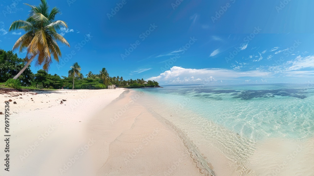 Beautiful palm tree on empty tropical island beach on background blue sky with white clouds and turquoise ocean on a sunny day. The perfect natural landscape for summer vacation, panorama. Beautiful palm tree on empty tropical island beach on background blue sky with white clouds and turquoise ocean on a sunny day. The perfect natural landscape for summer vacation, panorama.