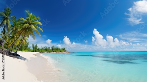 Beautiful palm tree on empty tropical island beach on background blue sky with white clouds and turquoise ocean on a sunny day. The perfect natural landscape for summer vacation, panorama. © inthasone