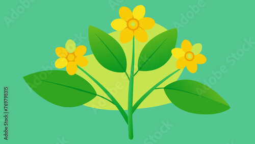  A macro shot of delicate yellow flowers blooming on a plant often used to make a calming tea in indigenous healing practices.