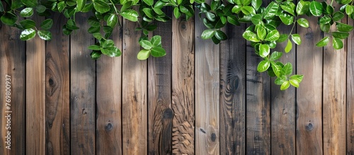 Close-up of wooden background for fencing and indoor garden design. © Vusal