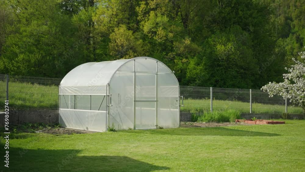 Still shot - Green house on the garden surrounded by luscious green grass and forest in the background Still shot - Green house on the garden surrounded by luscious green grass and forest in the background