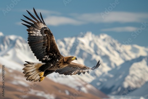 eagle in flight with snowcapped mountains in the background