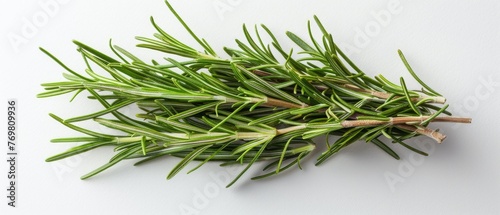   A sprig of rosemary rests atop a white plate  poised for use as a garnish