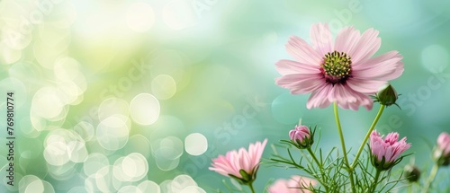  Pink flowers on a green grass field with a blue sky © Jevjenijs
