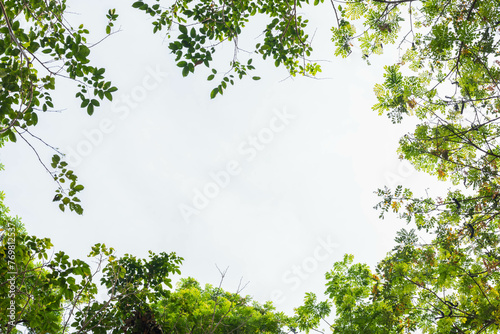 Leaf frame on a bright sky background.