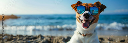 Warmth of the sun, dog in sunglasses on the beach, soaking up joy. photo