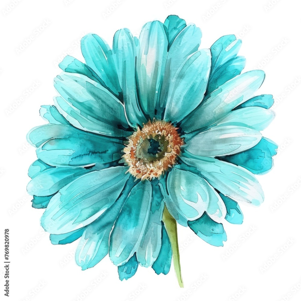 Watercolor turquoise gerbera flower on white background