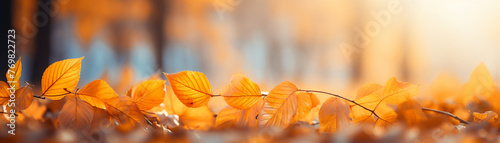 Vibrant autumn leaves against blurry park  golden hues  closeup  natural daylight