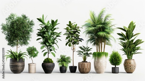 various types of potted plants in high resolution and high quality