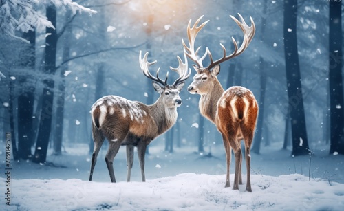 Beautiful deers with large antlers in a winter forest during a snowfall, Christmas concept  © robfolio