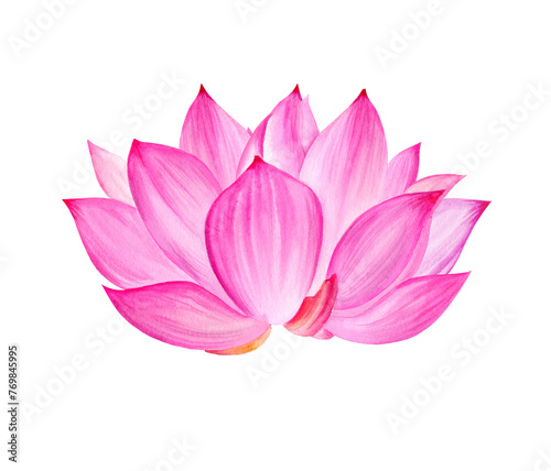 Neon pink lotus flower, watercolor illustration isolated on white. Bright Asian tropical water lily plant for spa and yoga salon, blogs and floral cards