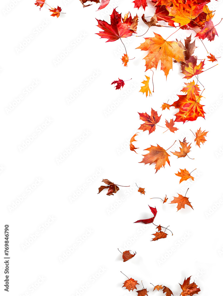 Autumn Elegance: Capturing the Falling Leaves of the Season in Warm Tones Autumn Elegance: Capturing the Falling Leaves of the Season in Warm Tones