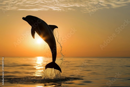 silhouette of dolphin leaping at sunrise