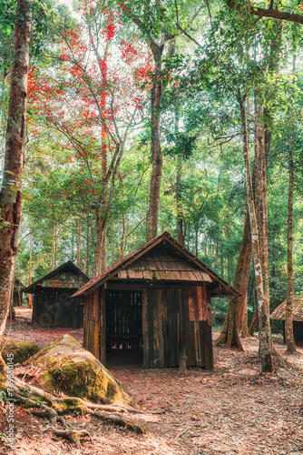 Weathered wooden hut with red maple leaves in tropical rainforest at national park