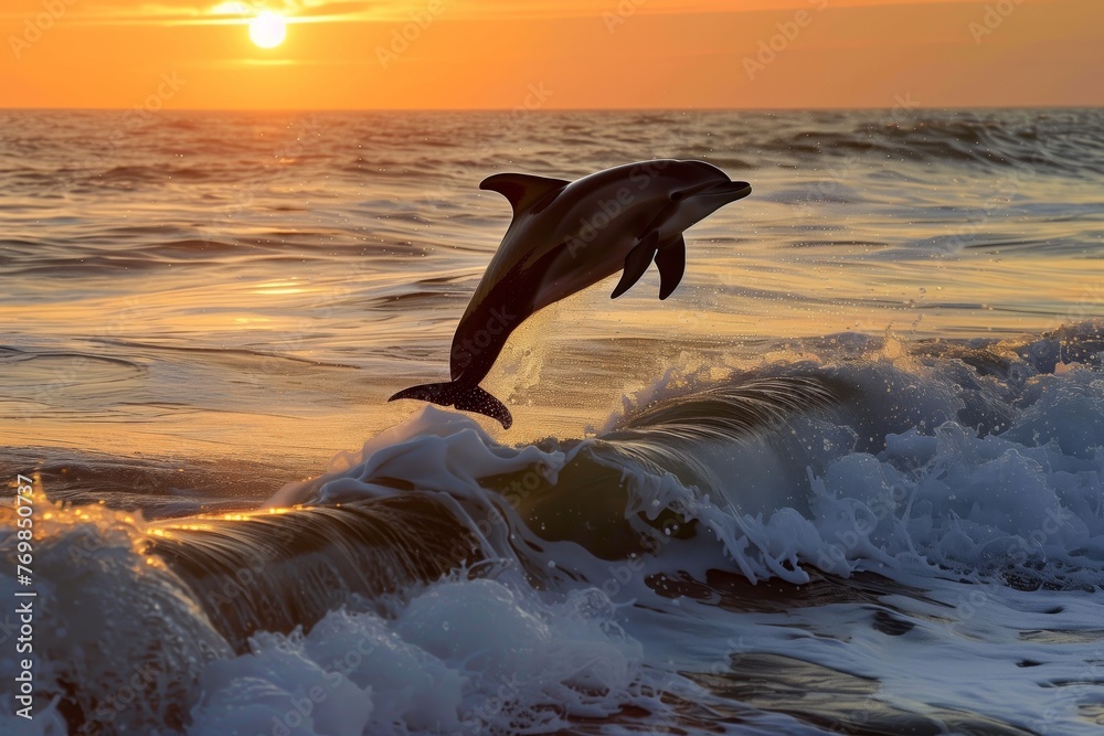dolphin soaring over ocean waves at sunset